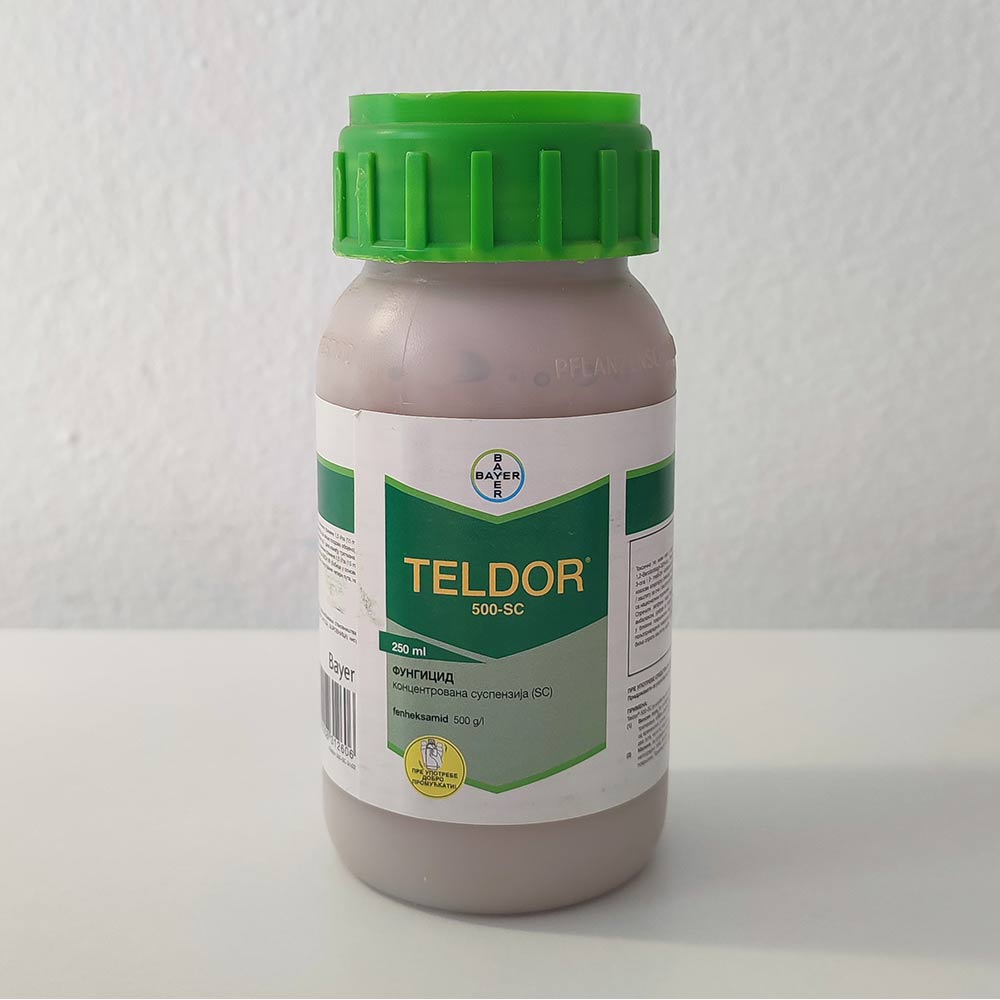 Teldor